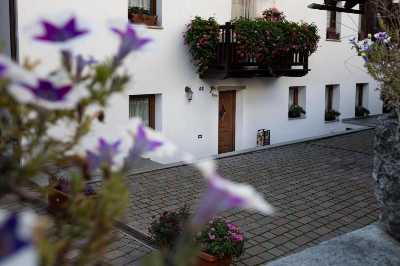 Casamia - Private Apartment Introd Dış mekan fotoğraf